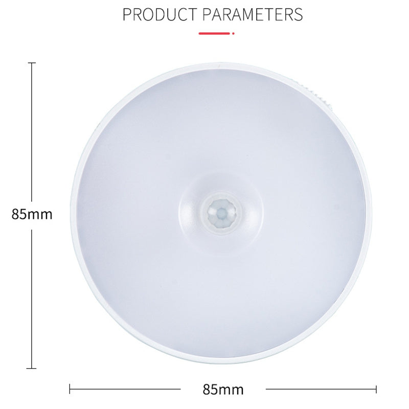 LED indukciona lampa 1+1