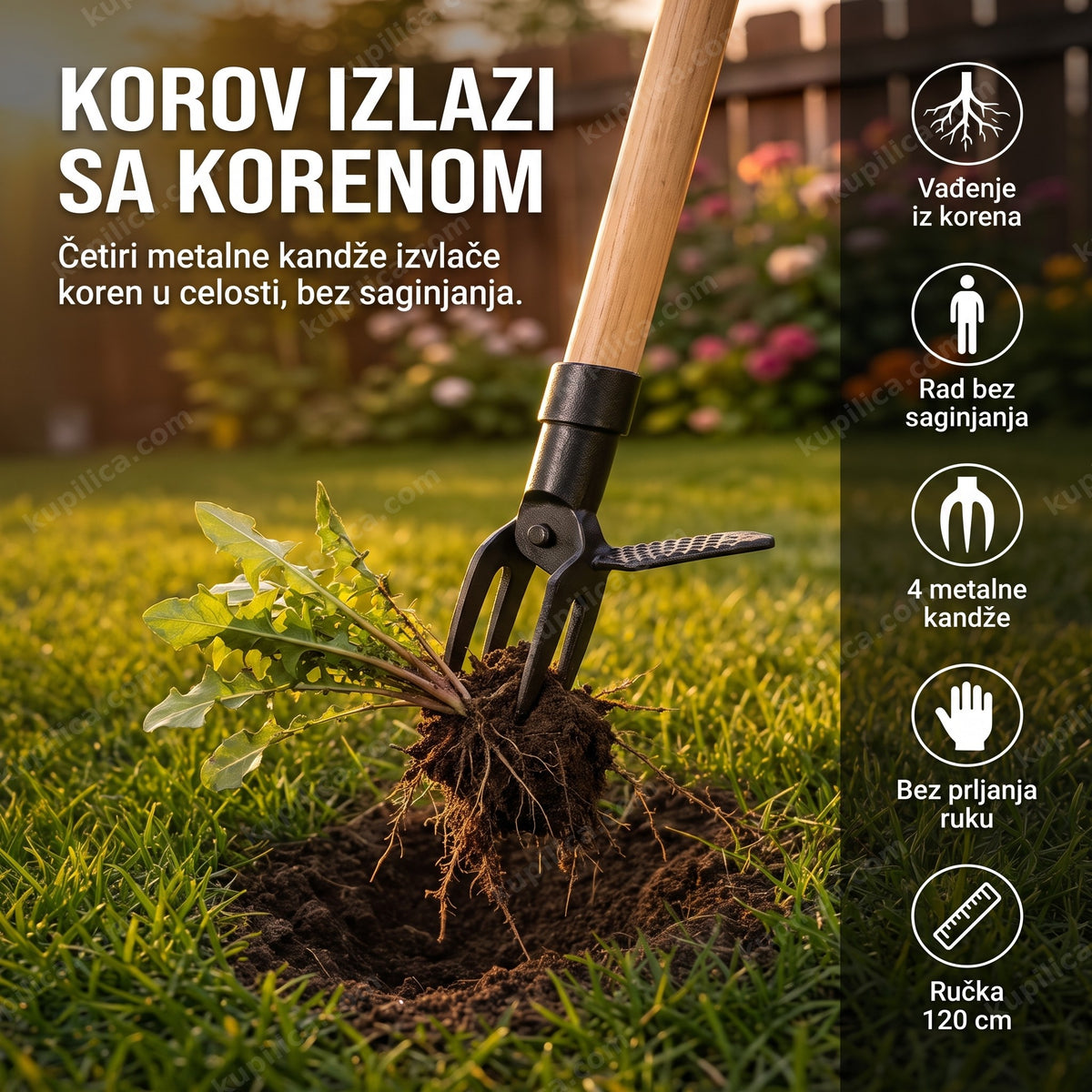 alat za vađenje korova — kandže zahvataju korov sa korenom u travnjaku