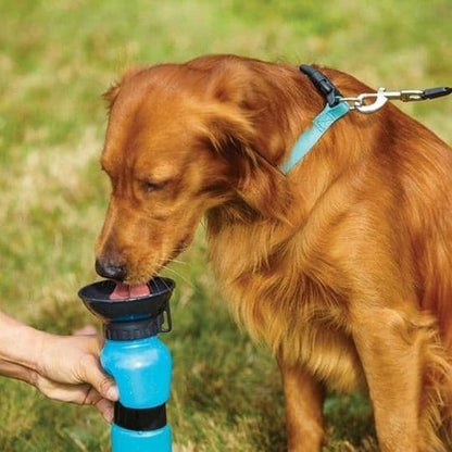 flašica za vodu za pse Aqua Dog — pregled proizvoda