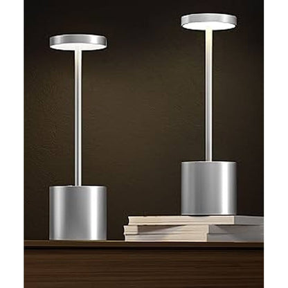 dve sive led stone lampe na drvenoj polici, jedna postavljena na knjige