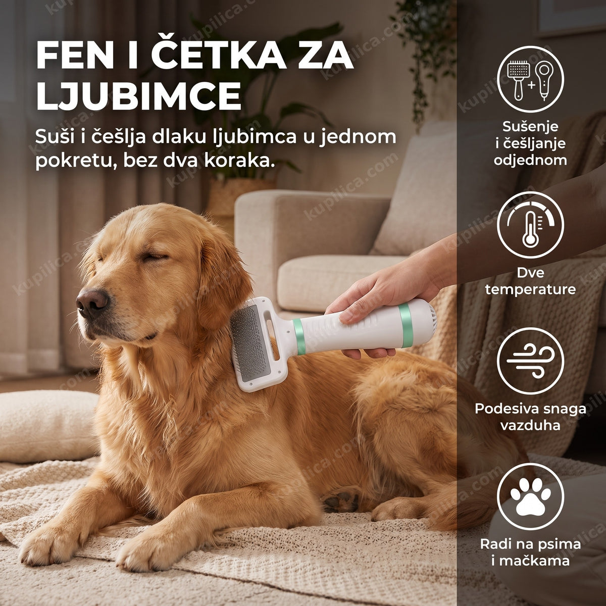 Fen i četka za pse suši i češlja opuštenog psa, ruka ga drži