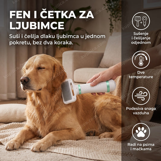 Fen i četka za pse suši i češlja opuštenog psa, ruka ga drži