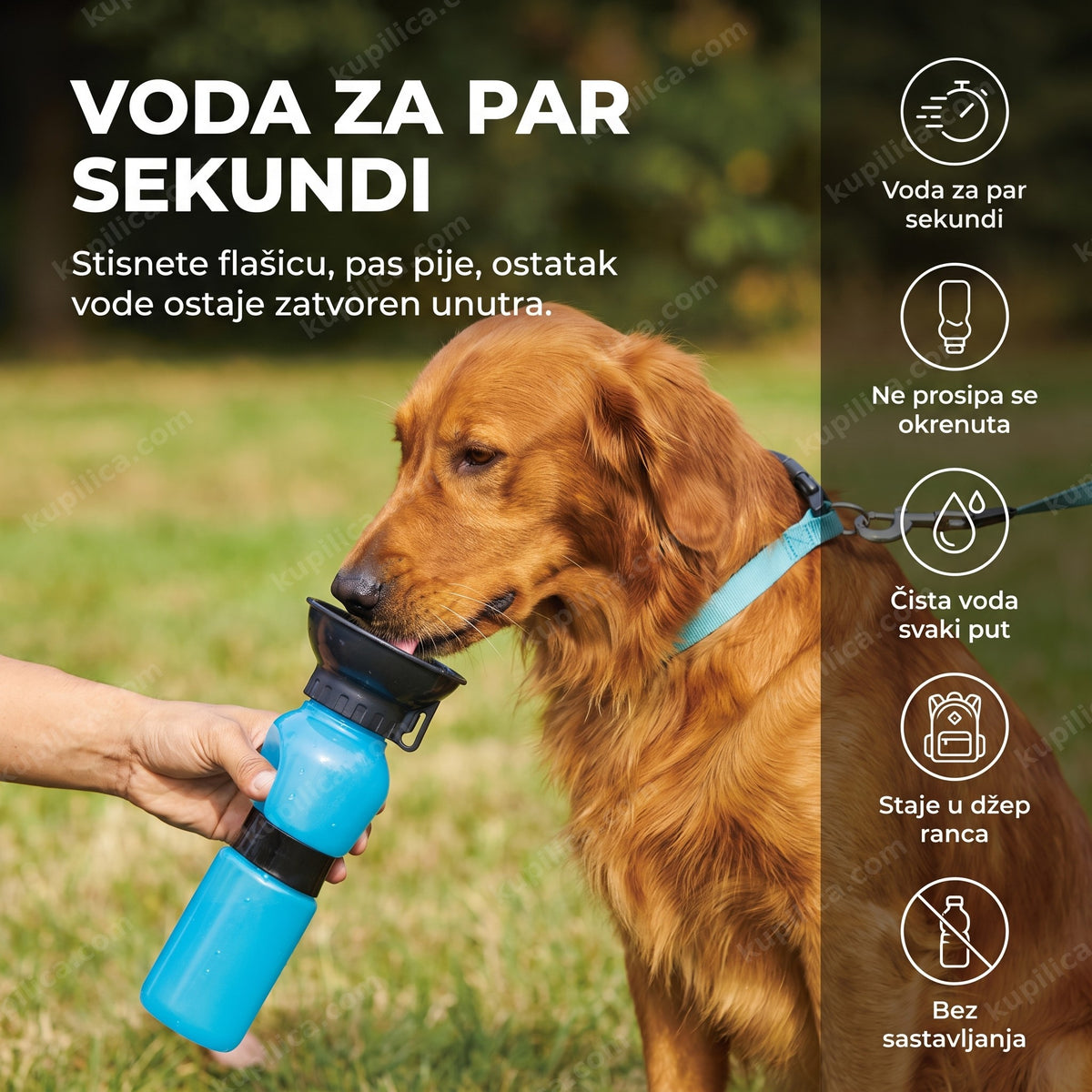 Aqua Dog flašica za vodu za pse dok zlatni retriver pije u parku, benefiti proizvoda