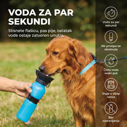 Aqua Dog flašica za vodu za pse dok zlatni retriver pije u parku, benefiti proizvoda