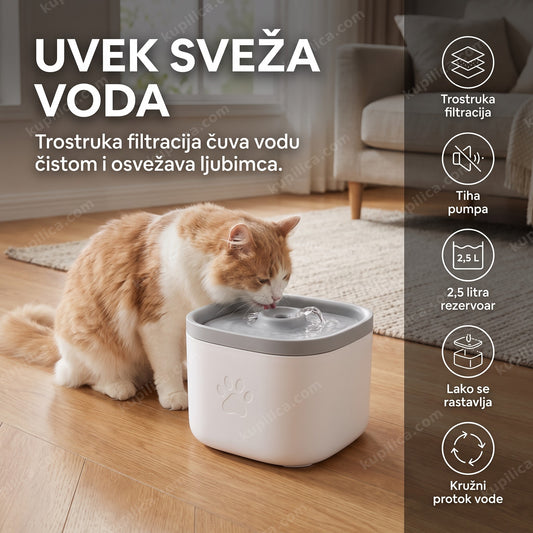 Pas pije svežu vodu sa fontane za pse i mačke