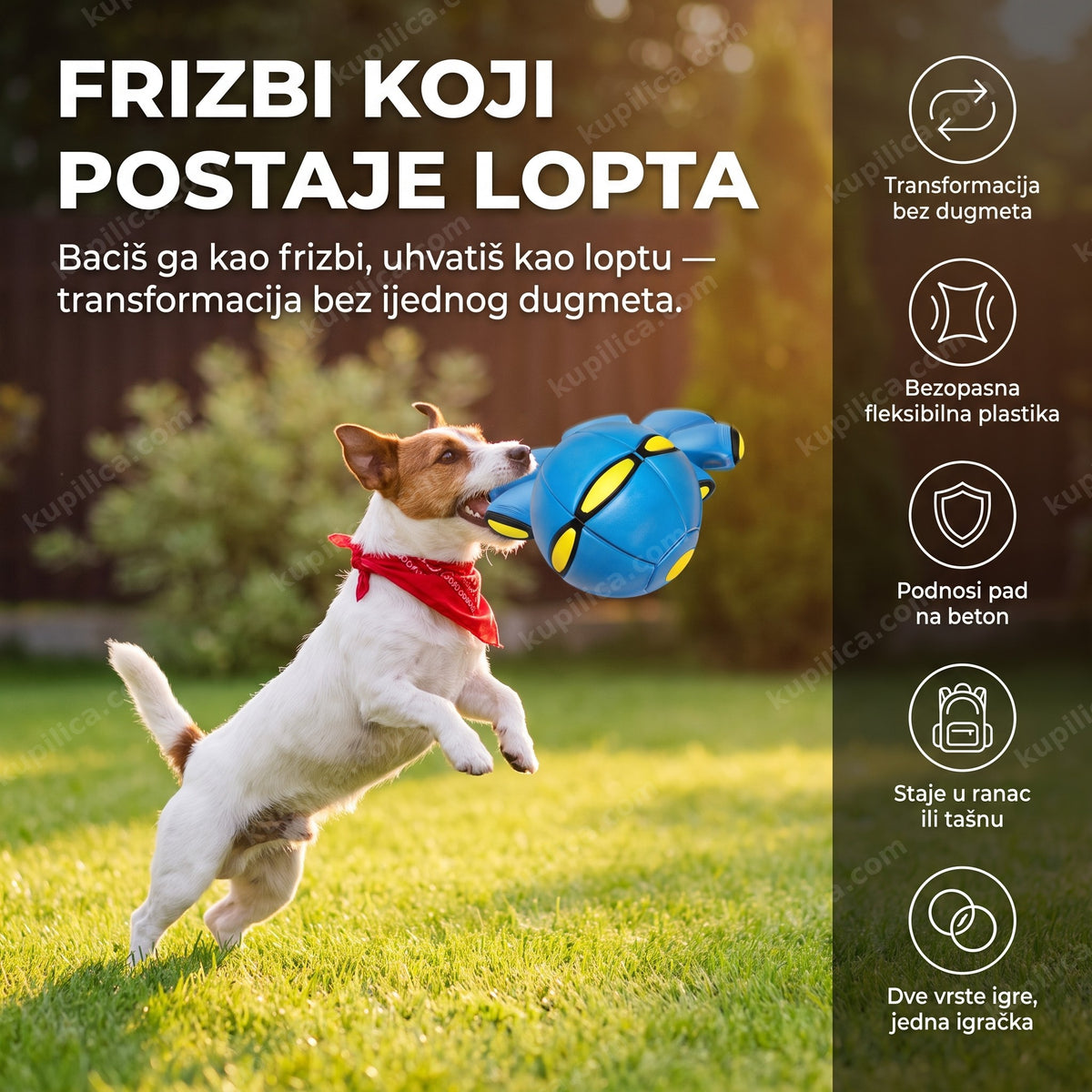 frizbi koji se pretvara u loptu, pas hvata disk u dvorištu, benefiti proizvoda