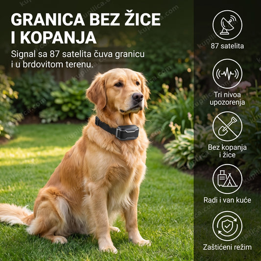 Pas sa GPS ogrlicom za ogradu mirno sedi u dvorištu, benefiti proizvoda