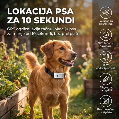 gps ogrlica za pse na kučetu u dvorištu, benefiti proizvoda