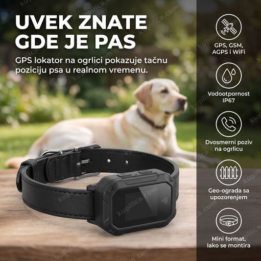 gps traker za pse na crnoj kožnoj ogrlici sa psom u pozadini