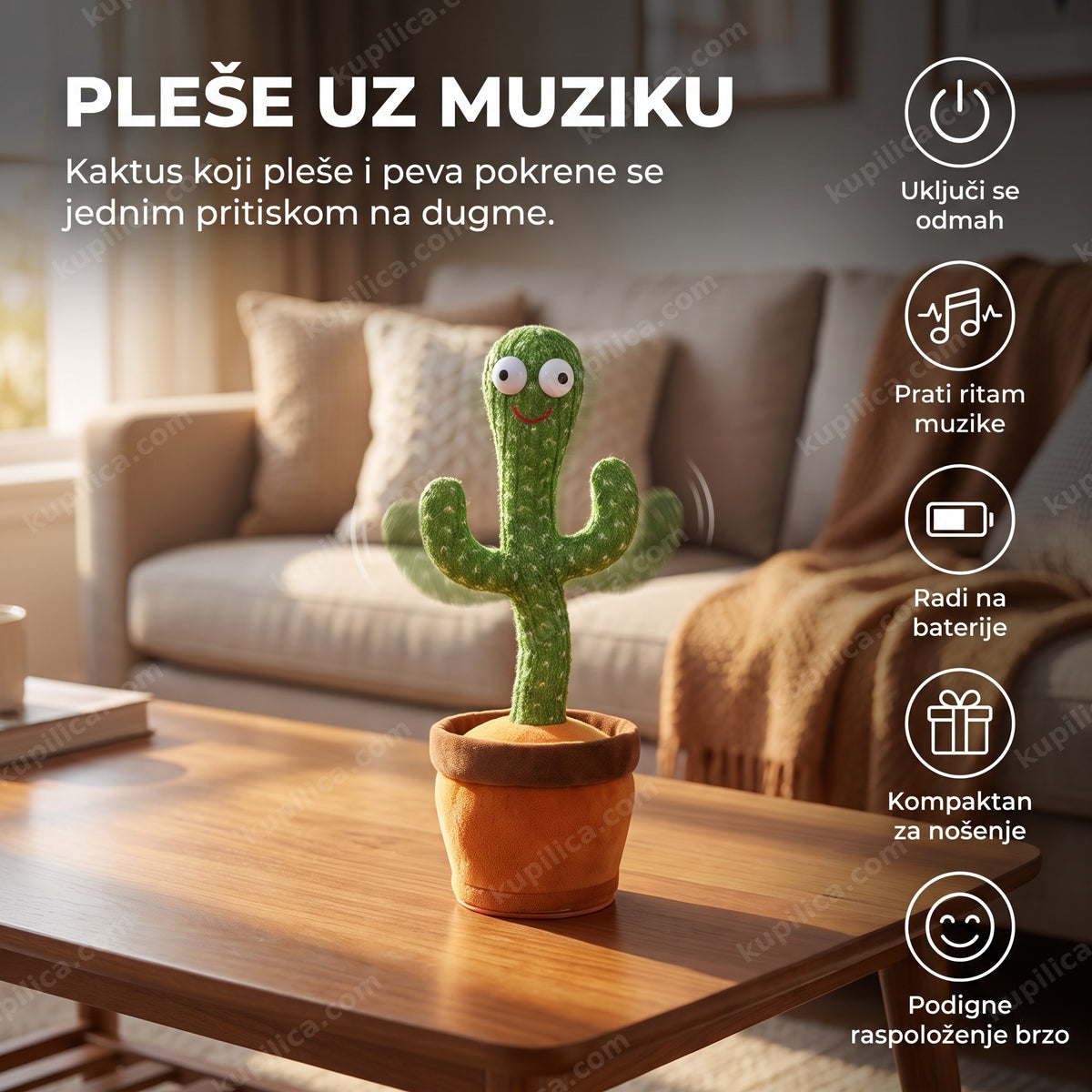 kaktus koji pleše i peva na stočiću u dnevnoj sobi, benefiti proizvoda