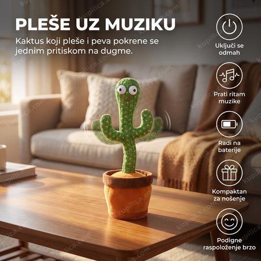 kaktus koji pleše i peva na stočiću u dnevnoj sobi, benefiti proizvoda