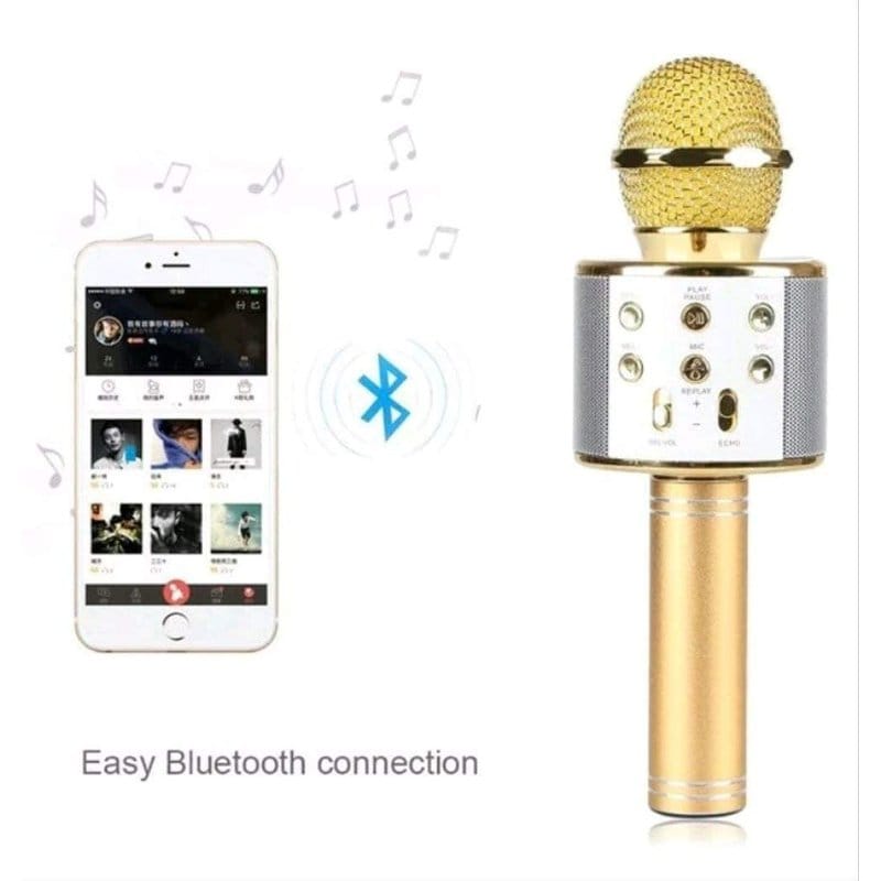 karaoke bluetooth mikrofon WS-858 — detalj 1