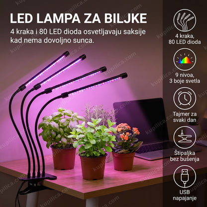 LED lampa za biljke sa ljubičasto-roze svetlom iznad radnog stola