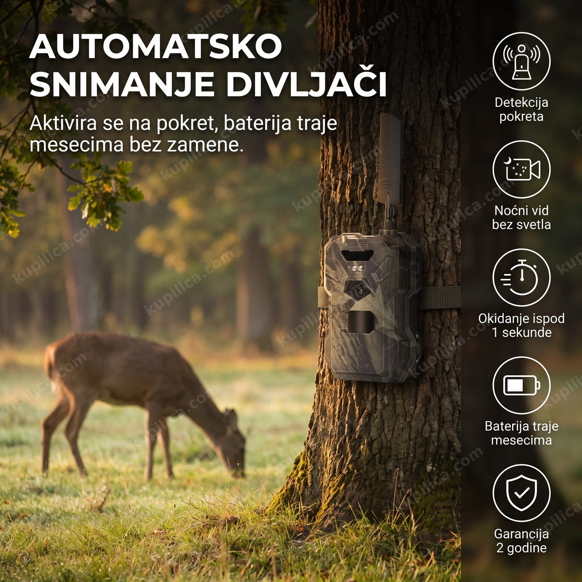 lovačka kamera postavljena na drvetu u šumi, benefiti proizvoda