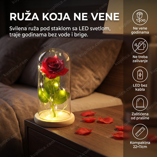 Magična ruža u staklenom zvonu sa LED svetlom na noćnom stočiću, prikazuje benefite proizvoda
