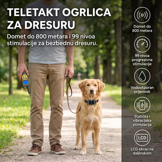 vlasnik sa mirnim psom i ogrlicom za dresuru u parku, benefiti proizvoda