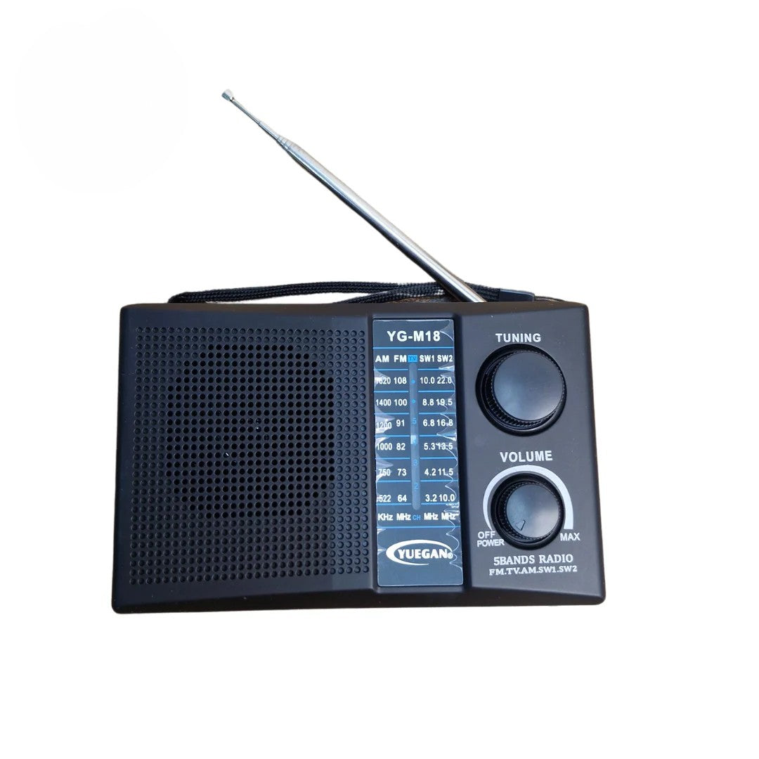 radio Yuegan YG-M18 — pregled