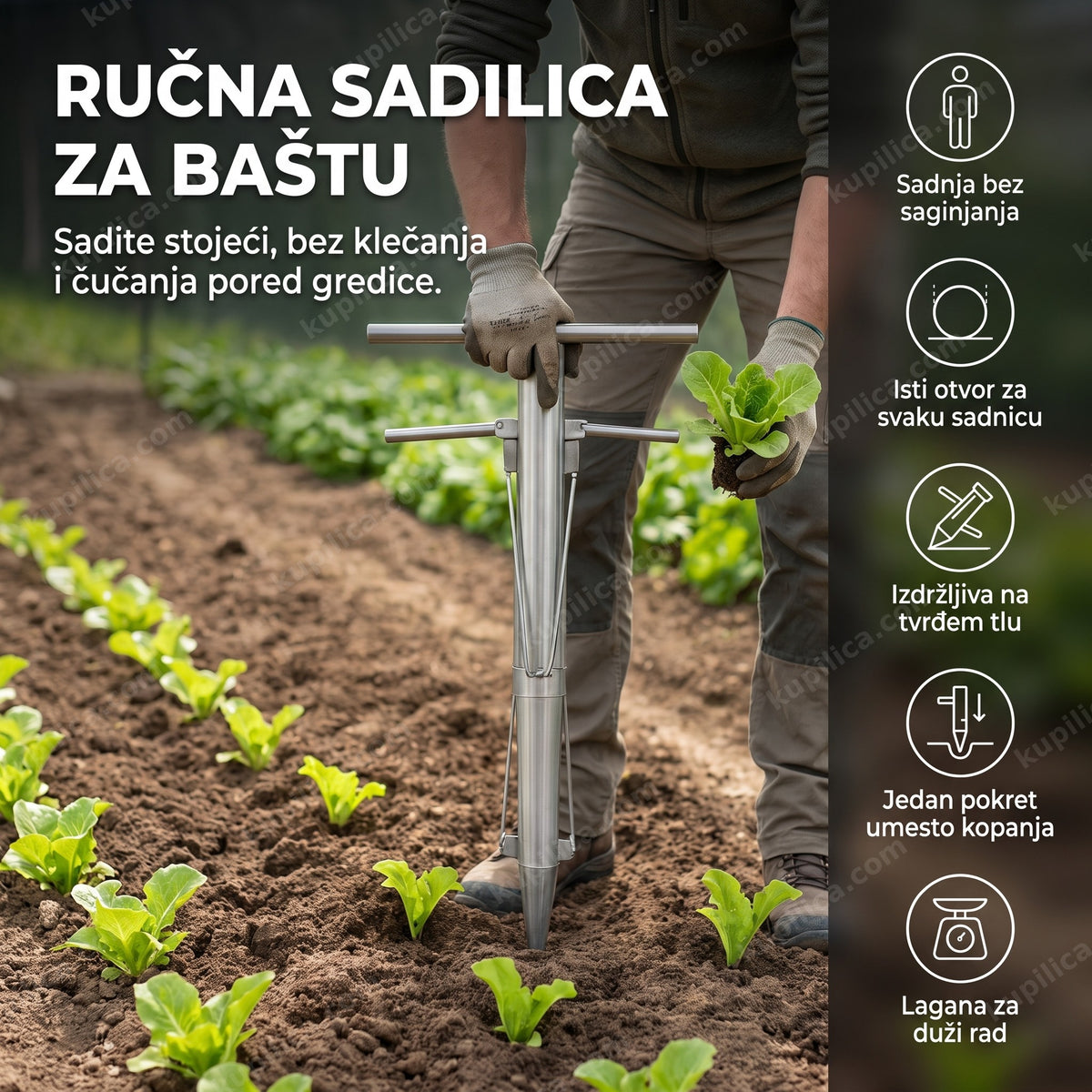 Baštovan sadi rasad ručnom sadilicom za baštu stojeći, benefiti proizvoda