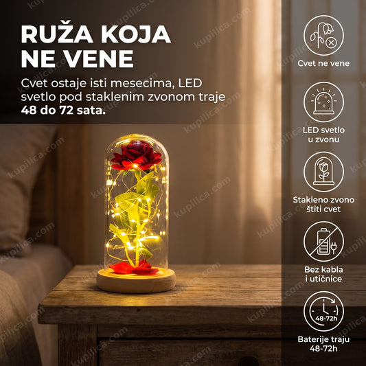 ruža u staklenom zvonu sa LED svetlima na stočiću uveče – benefiti proizvoda