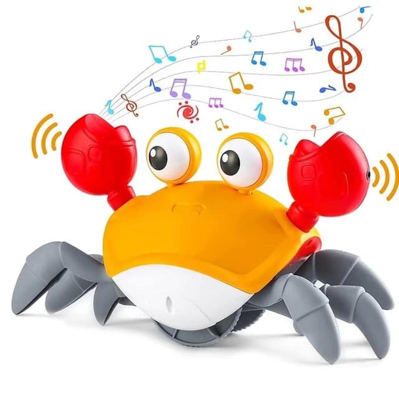 šetajuća kraba sa muzikom — detalj 2