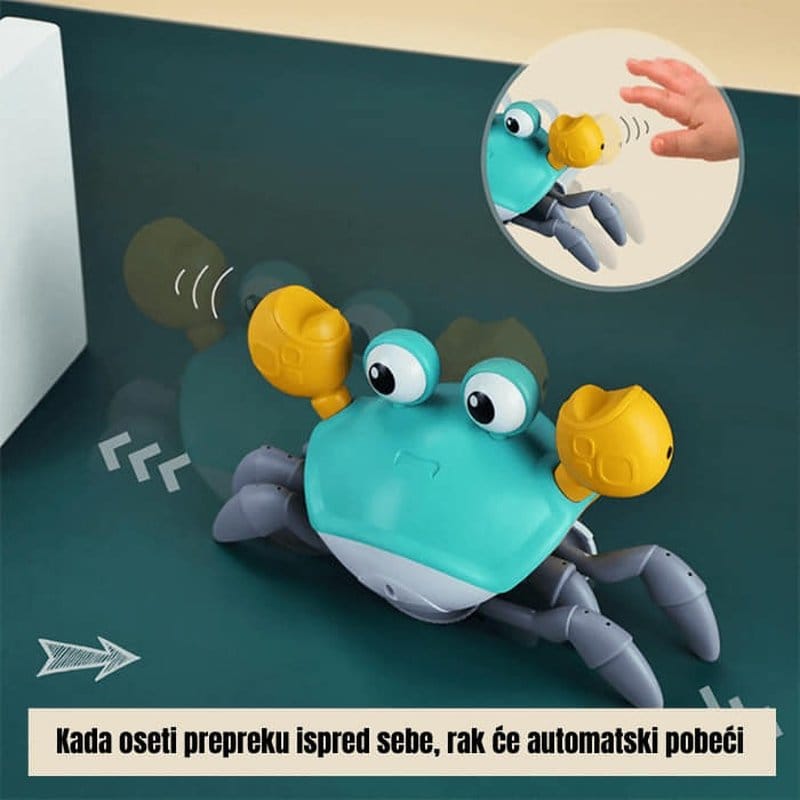 šetajuća kraba sa muzikom — detalj 7