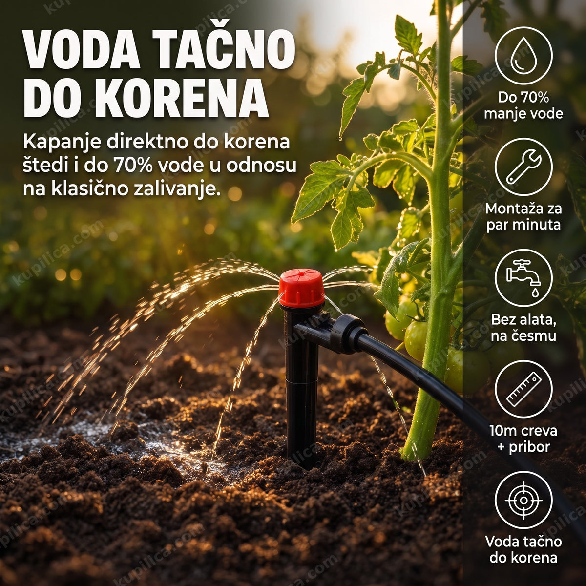 sistem za navodnjavanje kap po kap 10m — kapaljka u zemlji pored paradajza