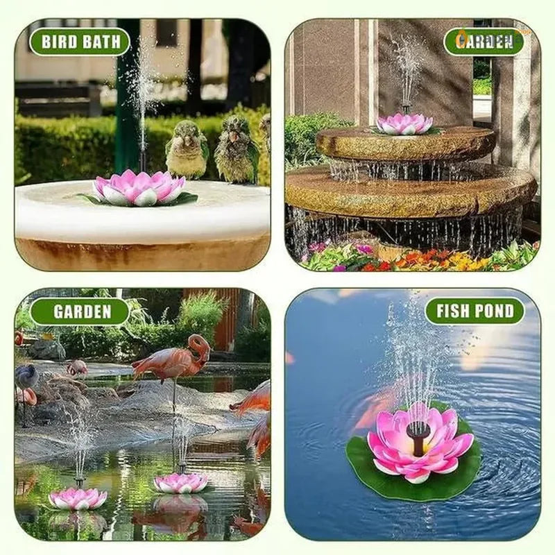 fontana lotos u kadi za ptice, terasastoj fontani i ribnjaku sa flamingosima