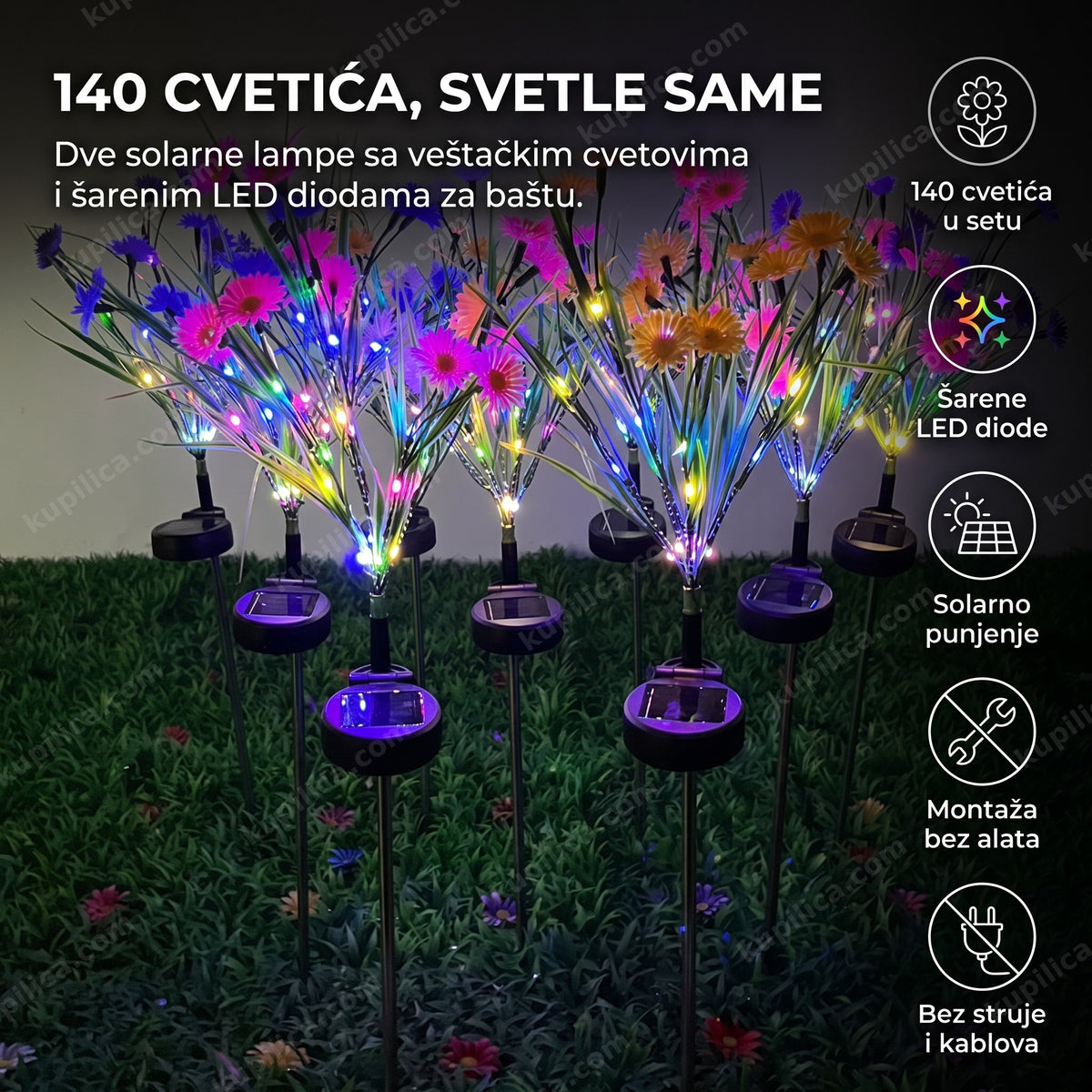 solarne lampe gerberi sa šarenim led cvetićima u travnjaku uveče