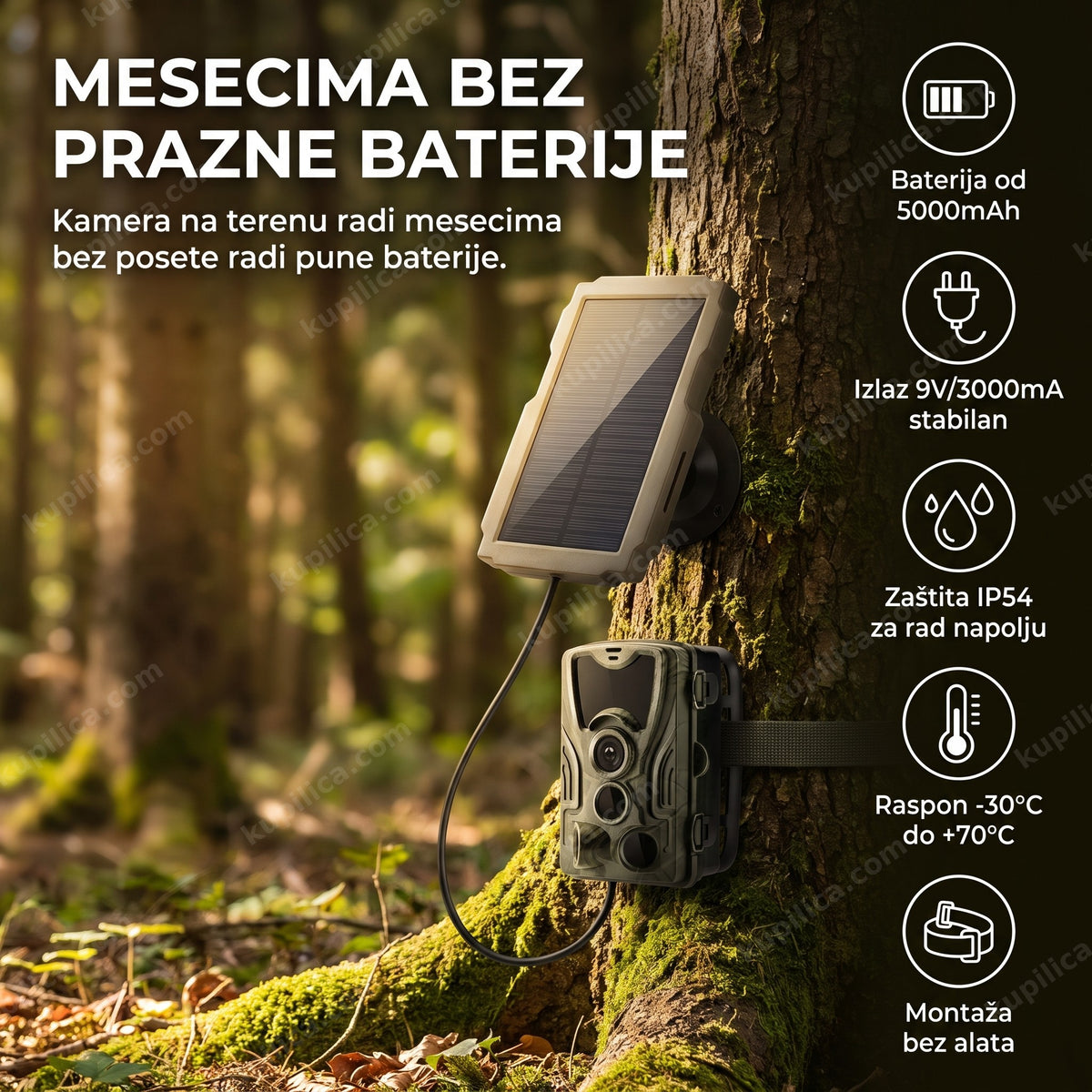 solarni punjač za lovačku kameru zakačen na stablu u šumi, benefiti proizvoda
