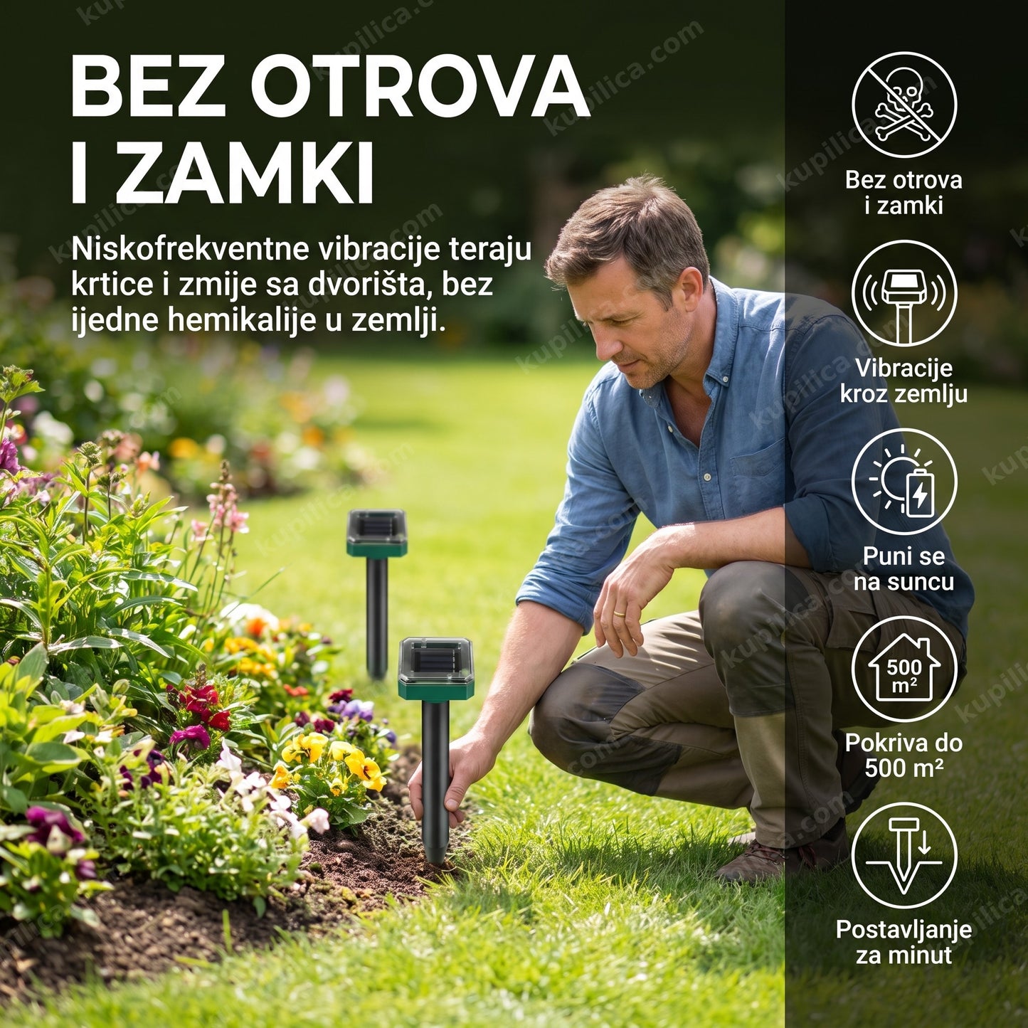 solarni rasterivač krtica zmija i glodara set 2 komada — muškarac postavlja uređaj u travnjak, vibracije kroz zemlju, bez otrova