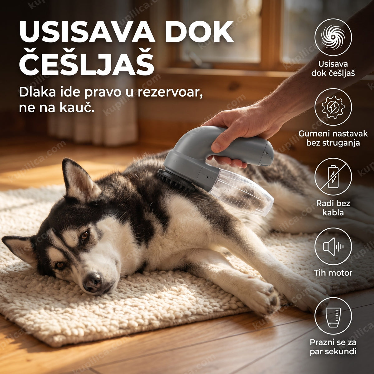 usisivač za dlake ljubimaca uklanja dlaku sa psa na tepihu, benefiti proizvoda