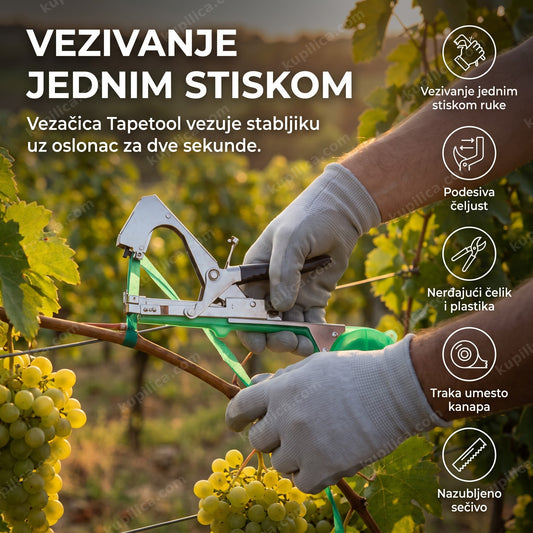 vezačica tapetool vezuje granu vinove loze uz žicu u vinogradu, benefiti proizvoda